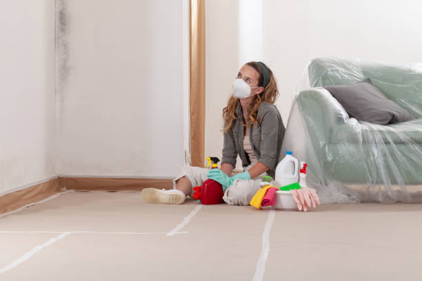 Reliable Mold Inspection contractor in Clearwater Beach, FL by WQB Mold Removal